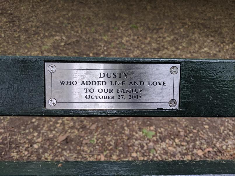 I saw this bench in Central Park