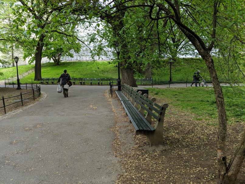 I saw this bench in Central Park