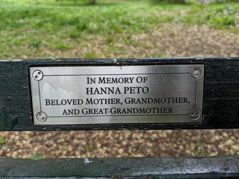 I saw this bench in Central Park