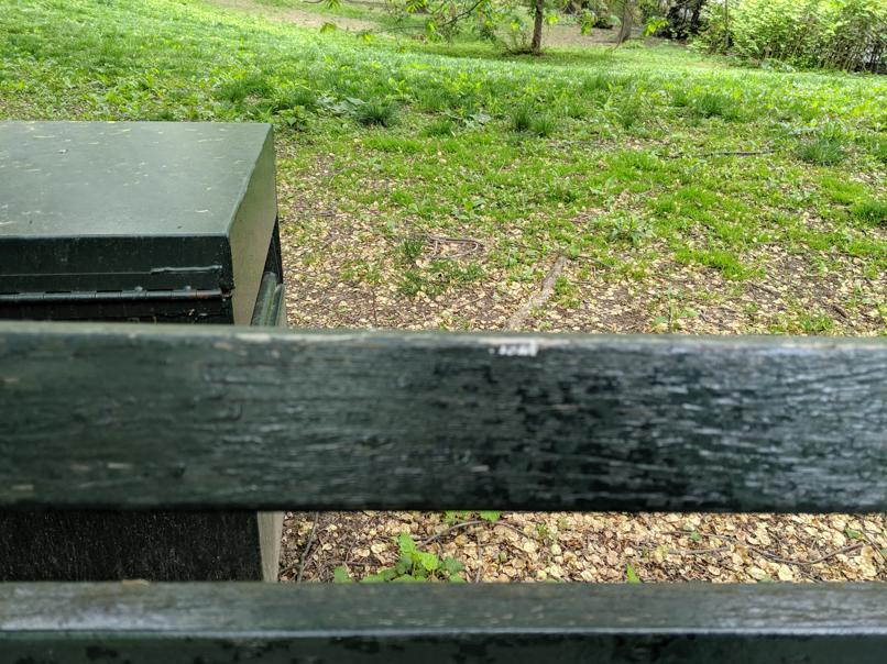 I saw this bench in Central Park