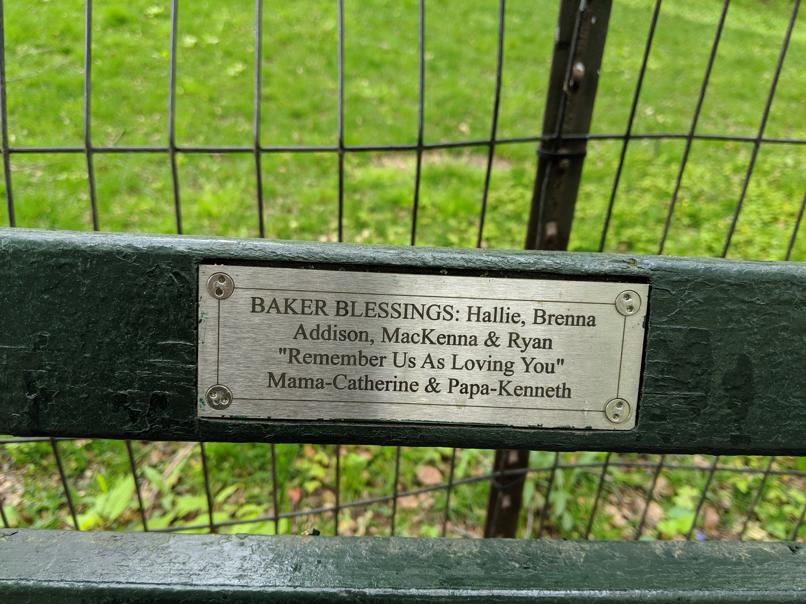 I saw this bench in Central Park