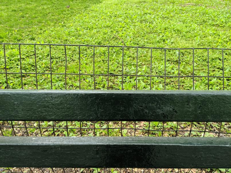 I saw this bench in Central Park