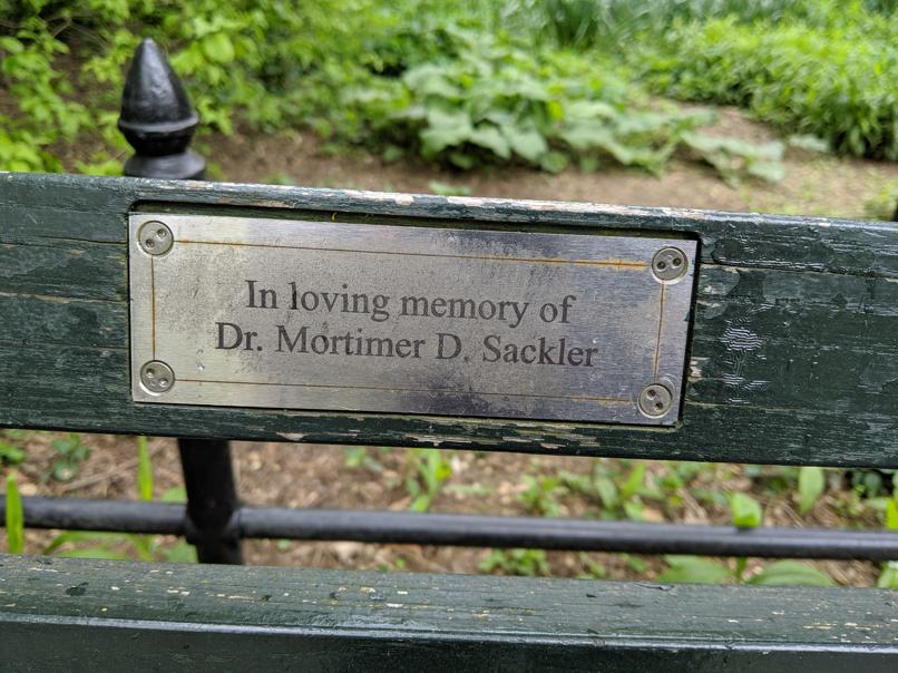 I saw this bench in Central Park