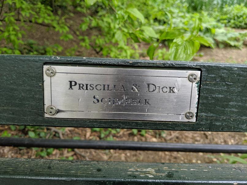 I saw this bench in Central Park