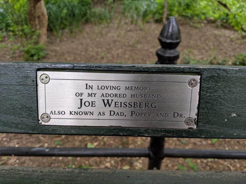 I saw this bench in Central Park