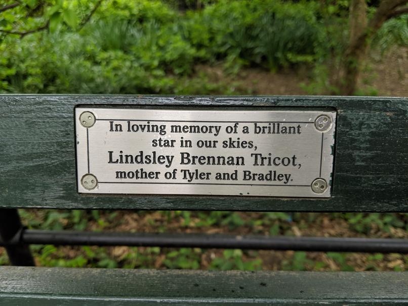 I saw this bench in Central Park