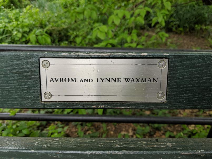 I saw this bench in Central Park