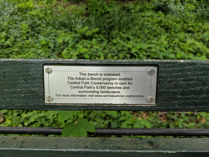 I saw this bench in Central Park