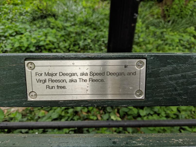 I saw this bench in Central Park