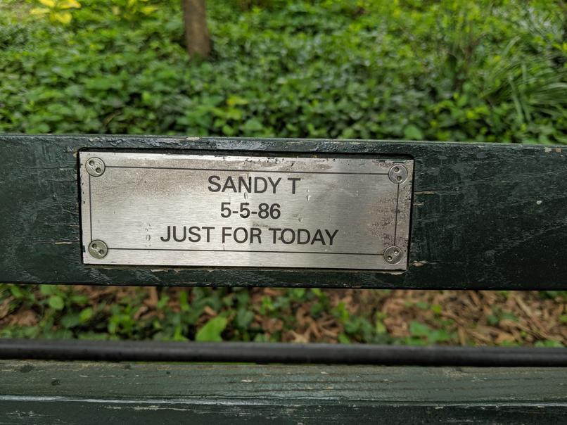 I saw this bench in Central Park