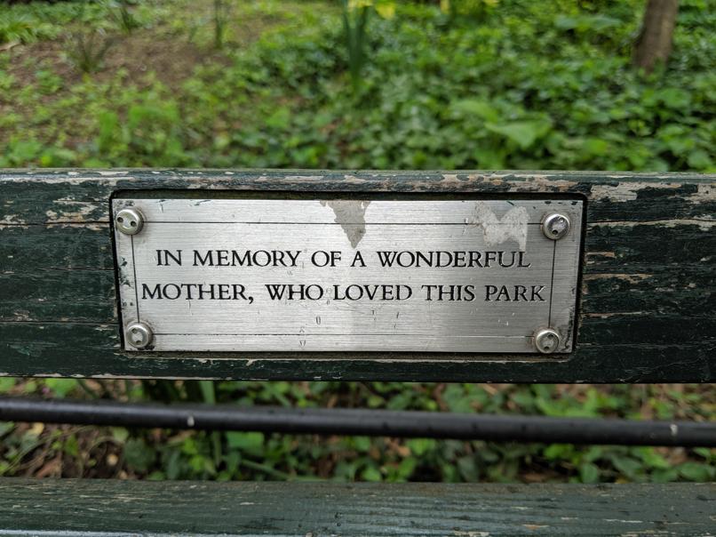 I saw this bench in Central Park