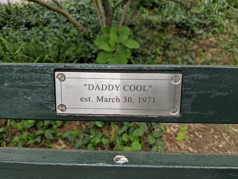 I saw this bench in Central Park