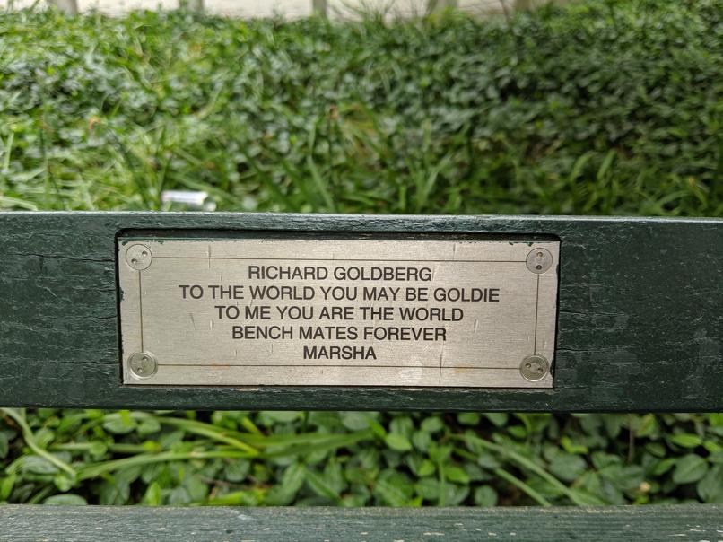 I saw this bench in Central Park