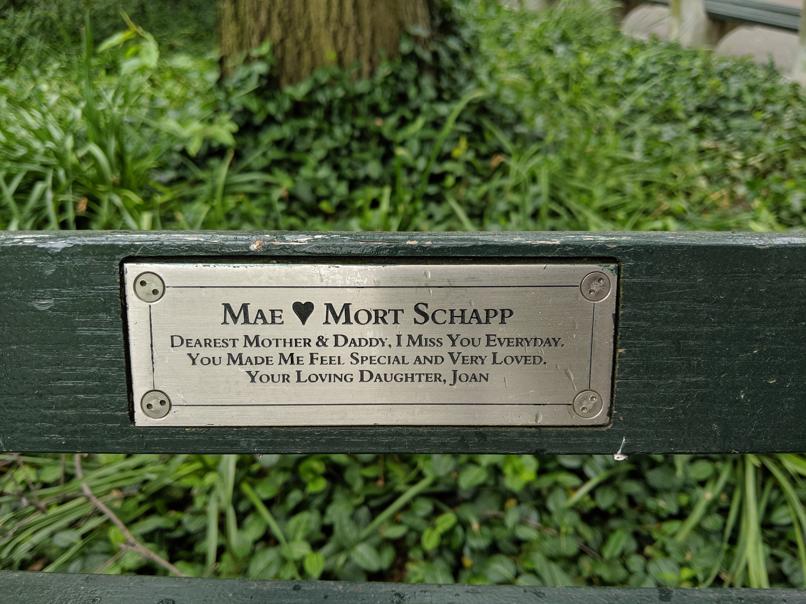 I saw this bench in Central Park