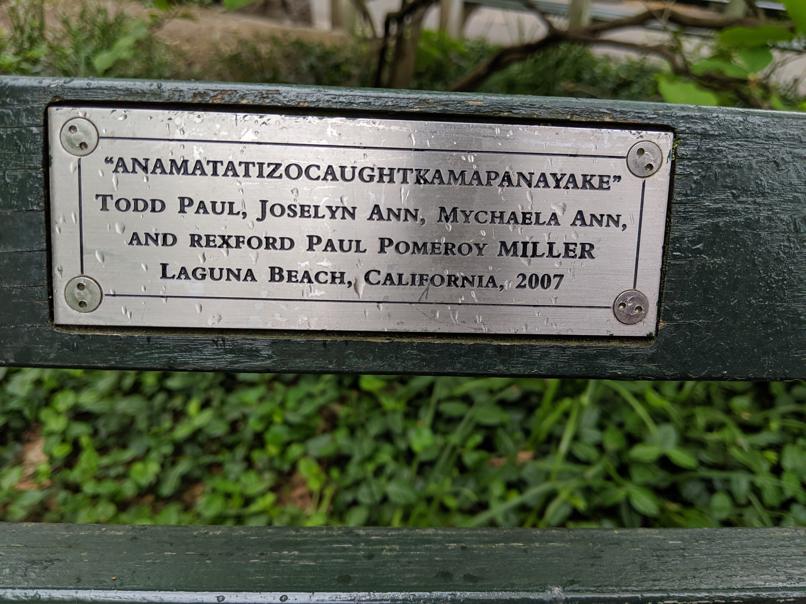 I saw this bench in Central Park