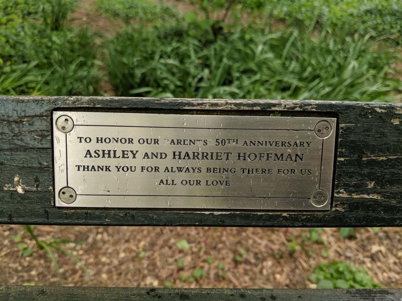 I saw this bench in Central Park