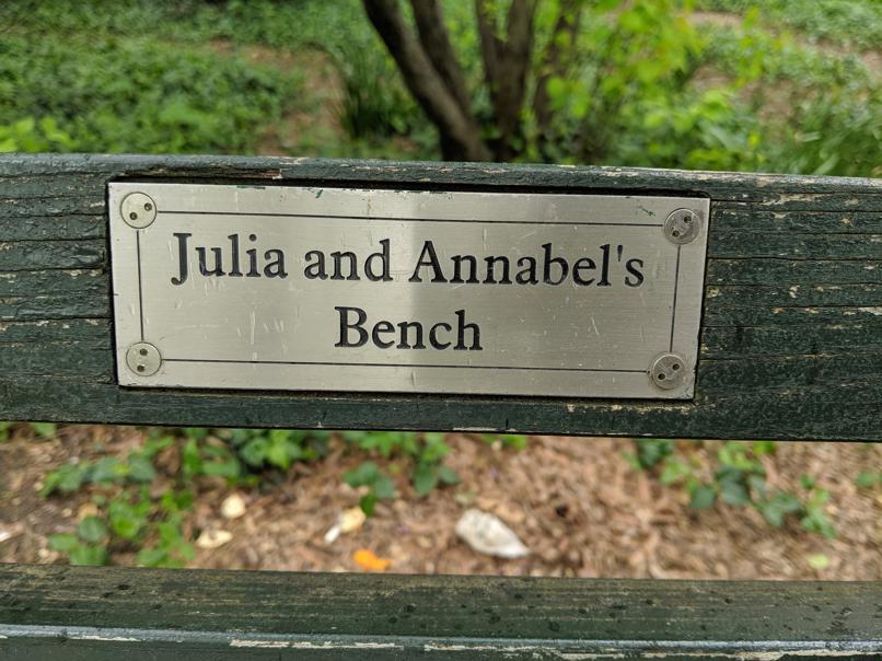 I saw this bench in Central Park