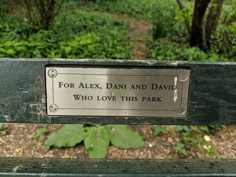 I saw this bench in Central Park