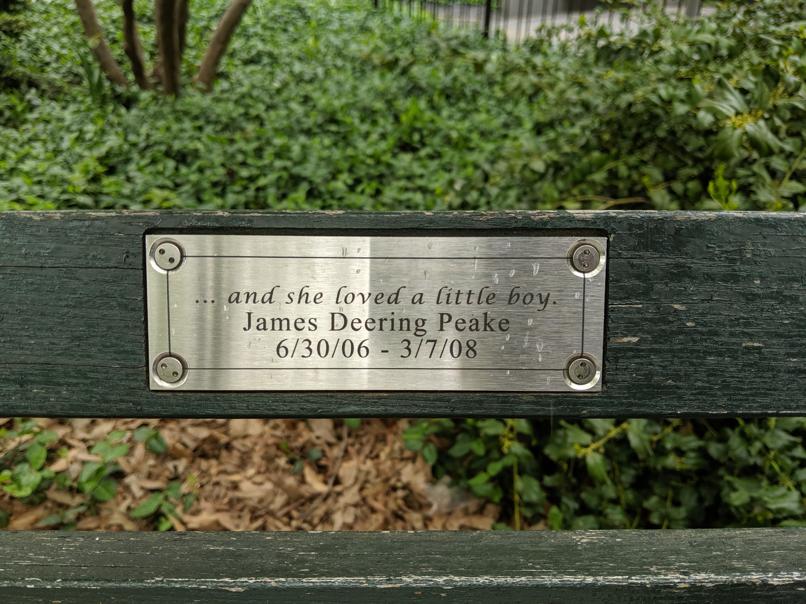 I saw this bench in Central Park