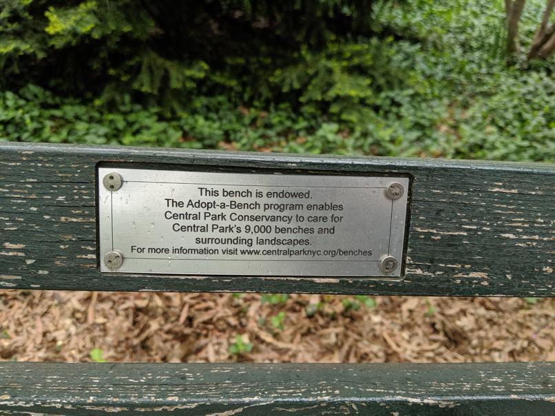 I saw this bench in Central Park