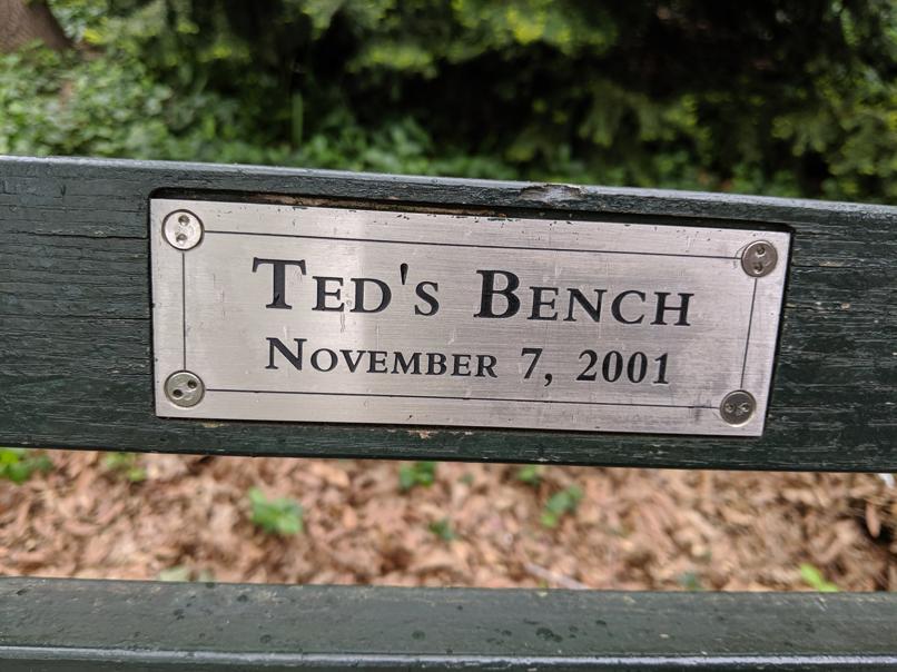 I saw this bench in Central Park