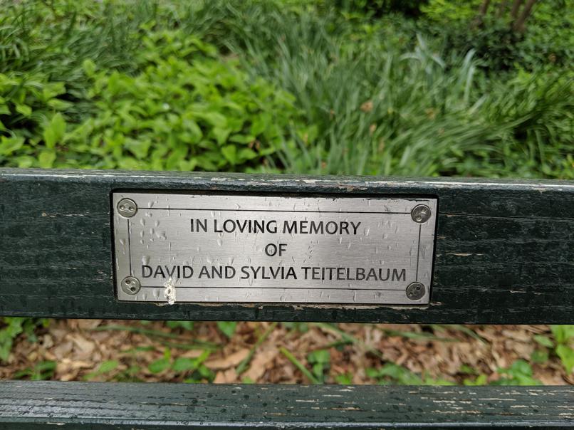 I saw this bench in Central Park