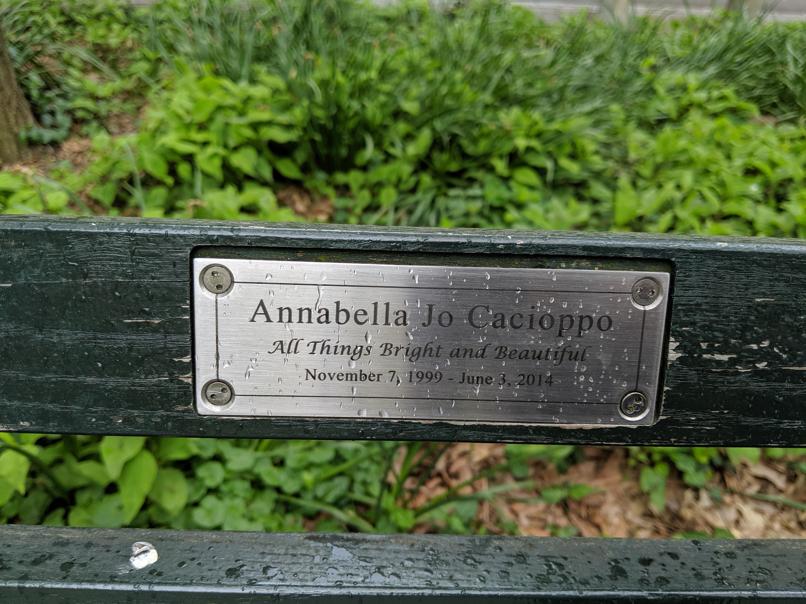 I saw this bench in Central Park