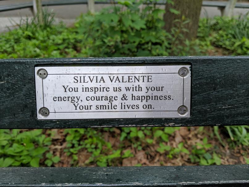 I saw this bench in Central Park