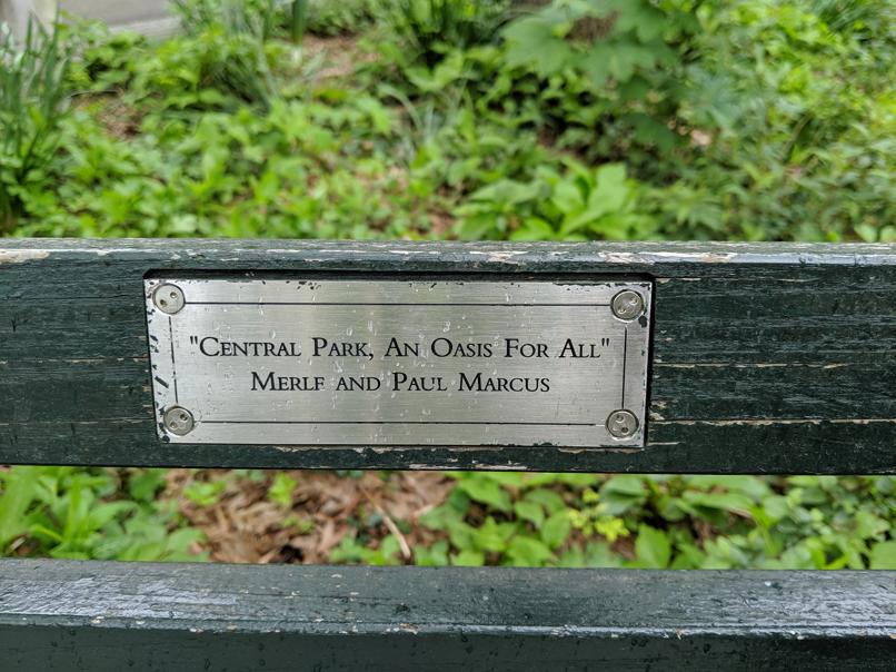 I saw this bench in Central Park