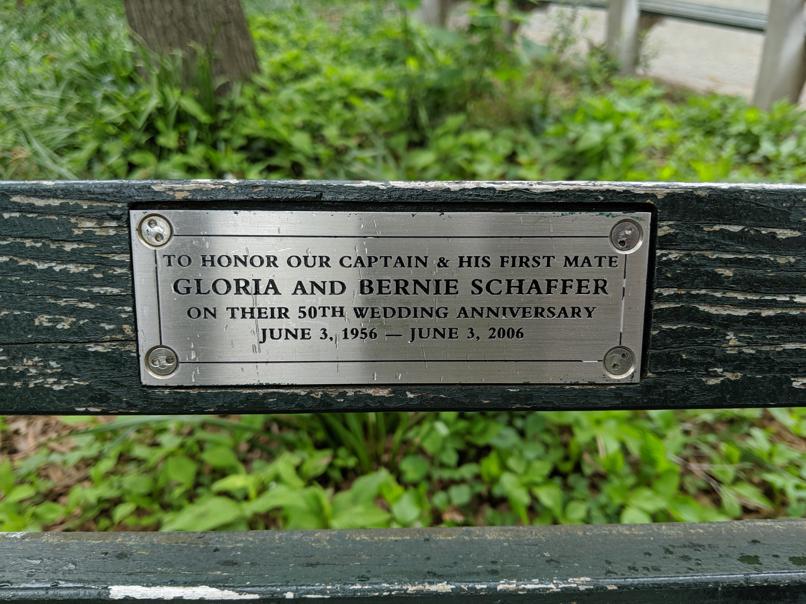 I saw this bench in Central Park