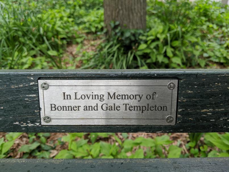 I saw this bench in Central Park