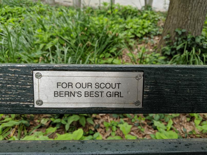 I saw this bench in Central Park