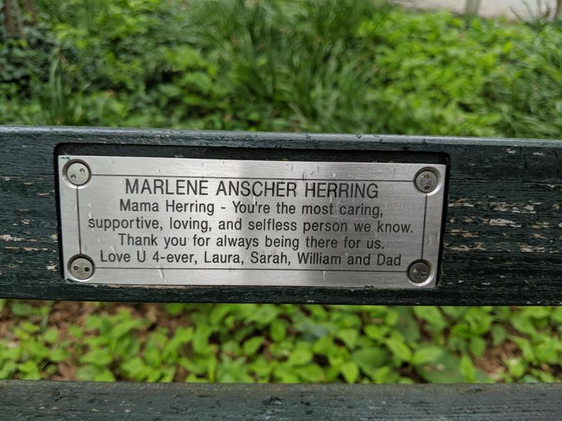 I saw this bench in Central Park