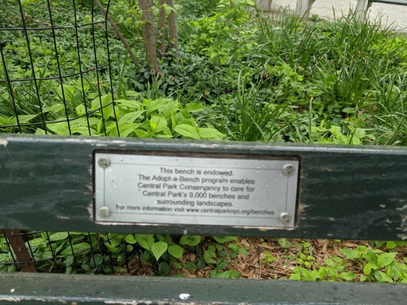 I saw this bench in Central Park