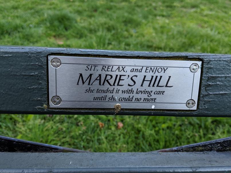 I saw this bench in Central Park