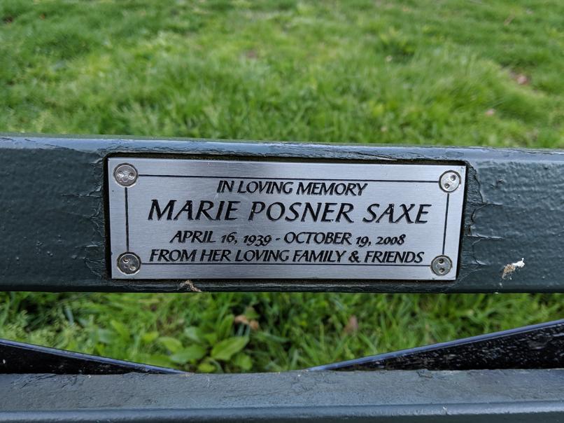 I saw this bench in Central Park