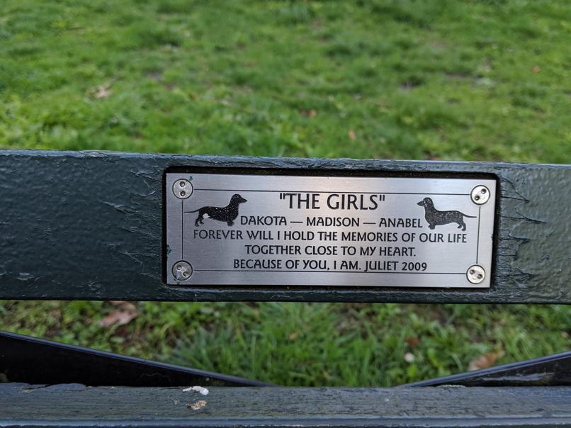 I saw this bench in Central Park