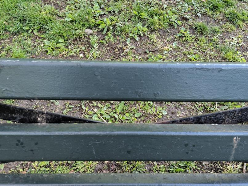 I saw this bench in Central Park