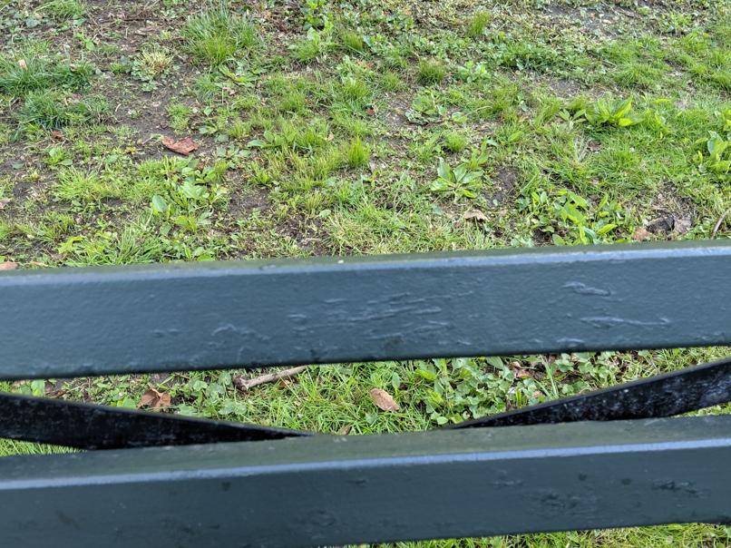 I saw this bench in Central Park