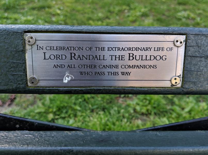 I saw this bench in Central Park