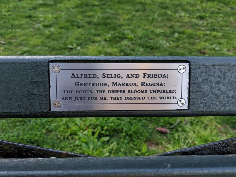 I saw this bench in Central Park