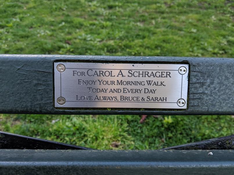 I saw this bench in Central Park