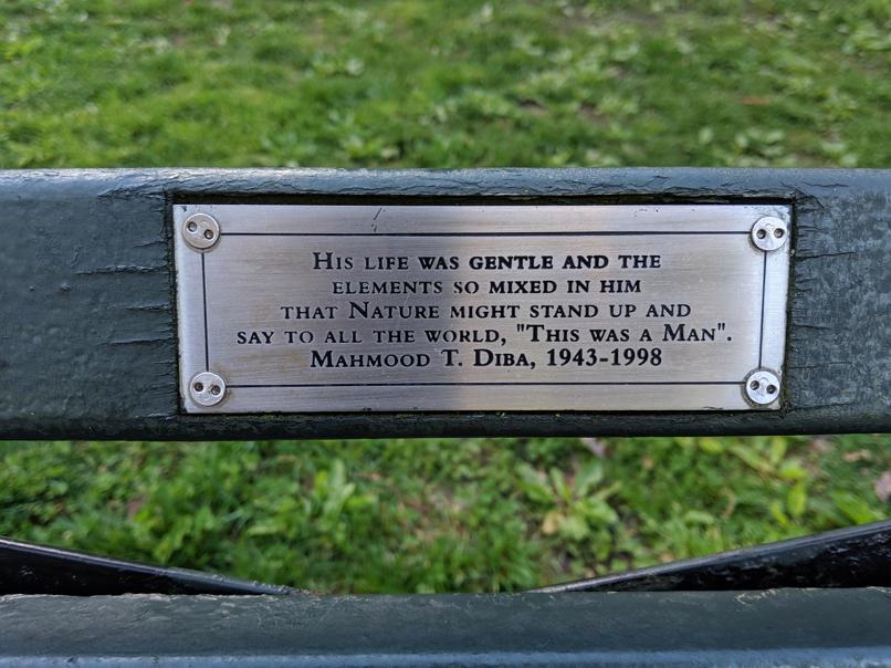 I saw this bench in Central Park