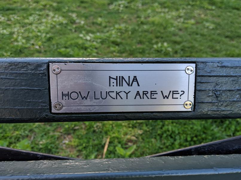 I saw this bench in Central Park