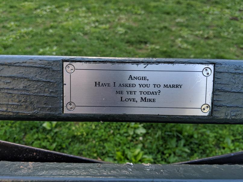 I saw this bench in Central Park