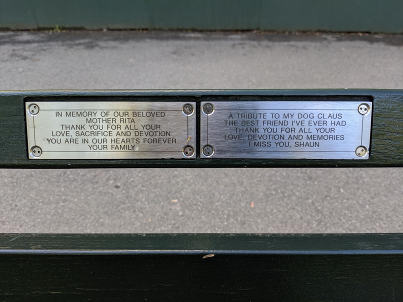 I saw this bench in Central Park