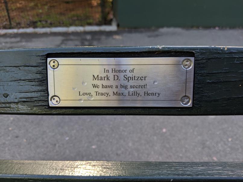 I saw this bench in Central Park