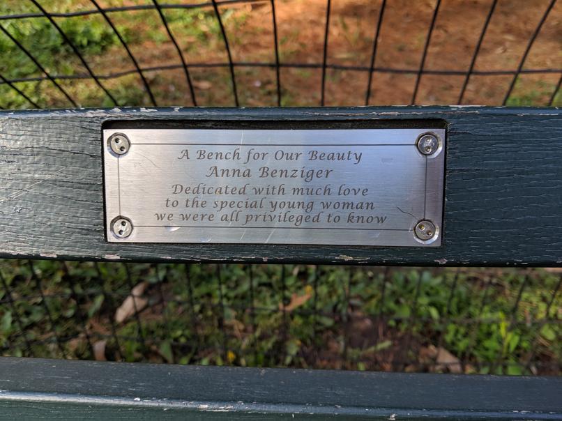 I saw this bench in Central Park