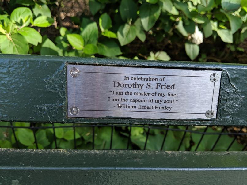 I saw this bench in Central Park