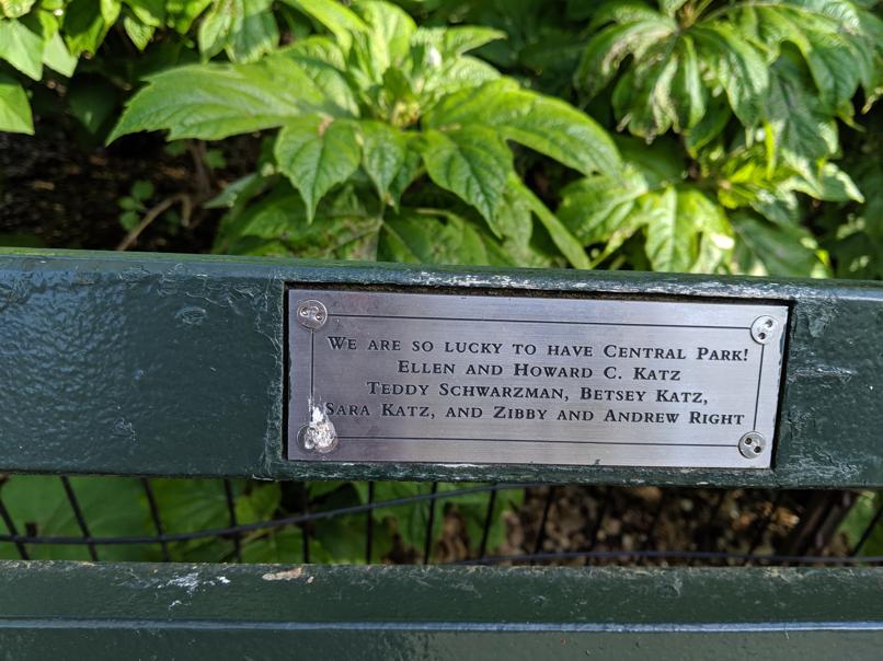 I saw this bench in Central Park